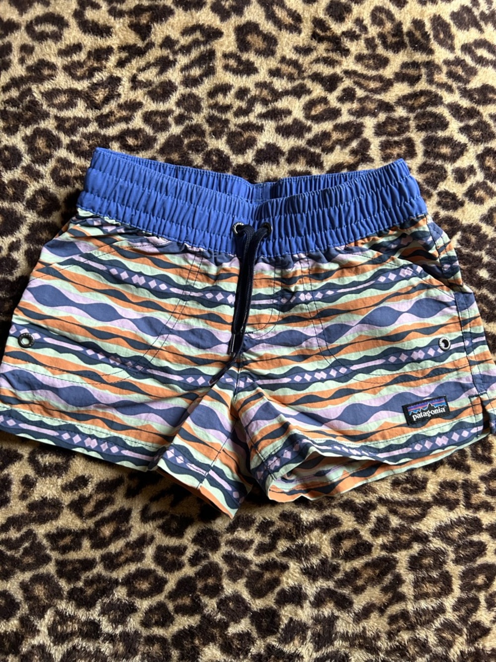 Patagonia Colorful Wave Print Baggy Shorts - Blue Waistband